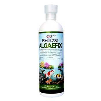 Algaefix For Ponds 473Ml Fish