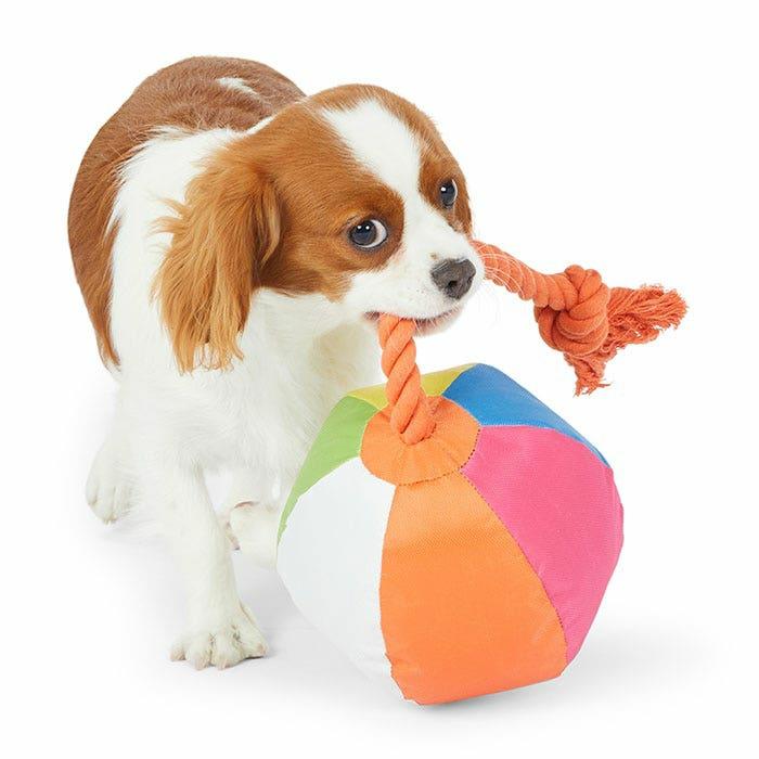 Beach Ball Rope Dog Toy Multi 44Cm Dog