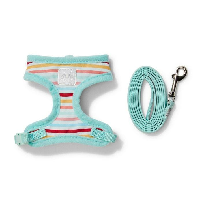 Beach Ball Stripe Kitten Harness & Lead Set Mint Cat