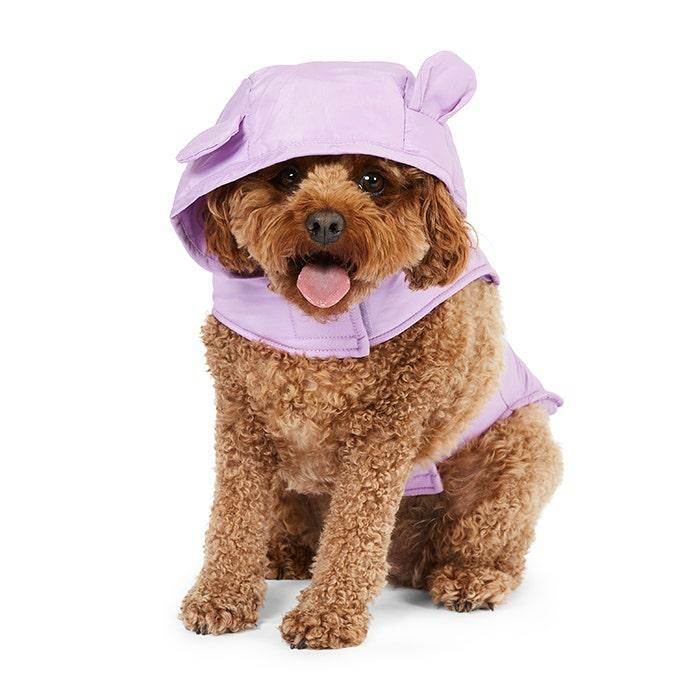 Bear Hood Quilted Dog Jacket Purple Dog