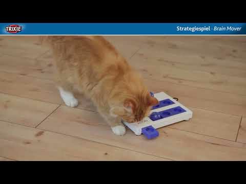 Brain Mover Strategy Game Activity Cat Feeder Cat