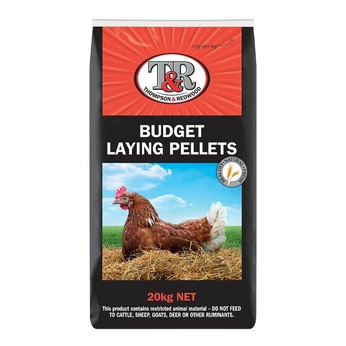 Budget Chicken Layer Pellets 20Kg Chicken