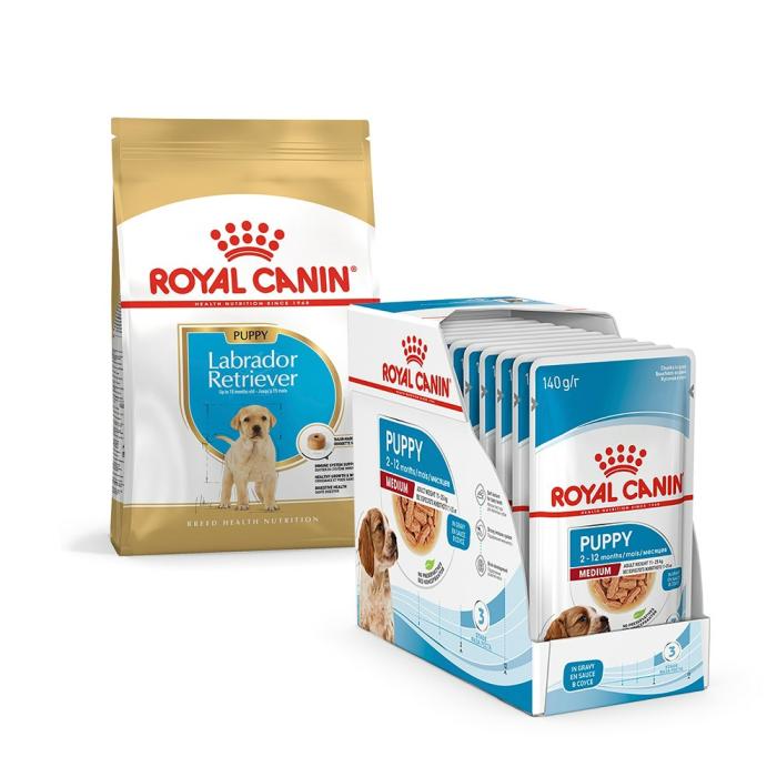 Bundle | Labrador Puppy Food 1Kg & Medium Breed Wet Puppy Food 140G X 10 Dog