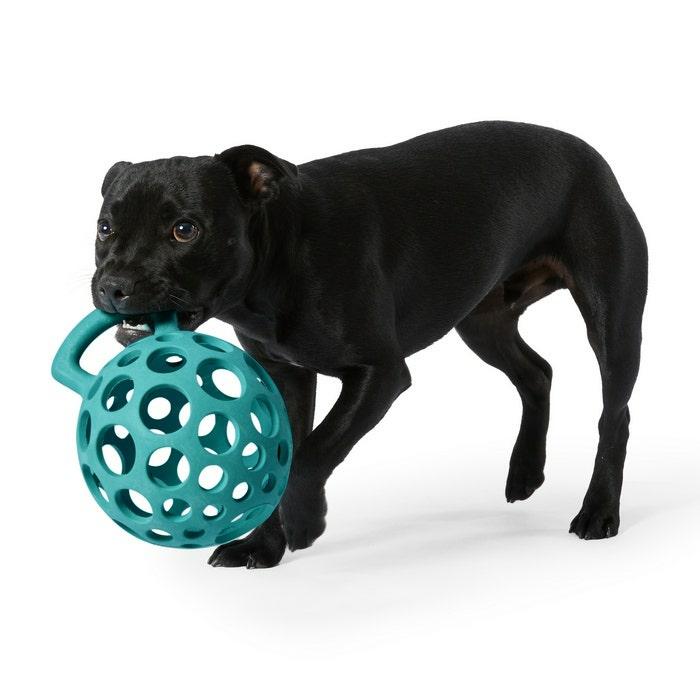 Cage Ball With Handle Dog Toy Assorted Large Dog