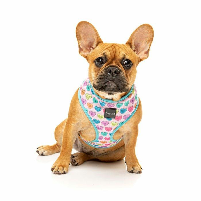 Candy Hearts Dog Harness Pink Dog