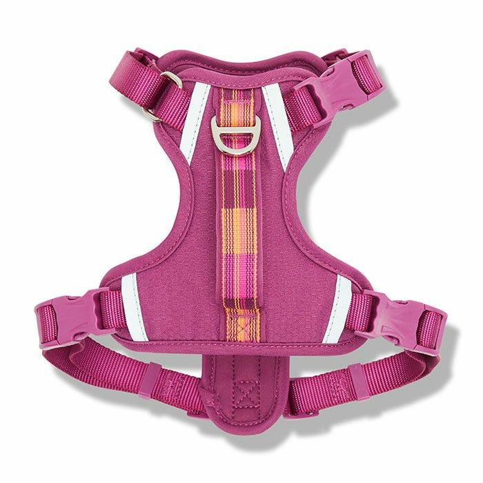 Checkered Dog Harness With Handle Purple Dog