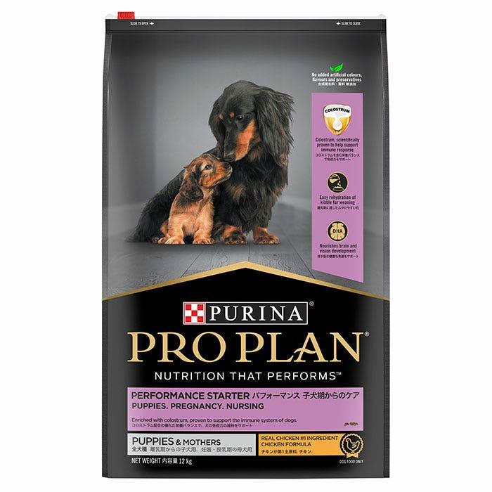 Chicken Starter Medium Breed Puppy Food 12Kg Dog