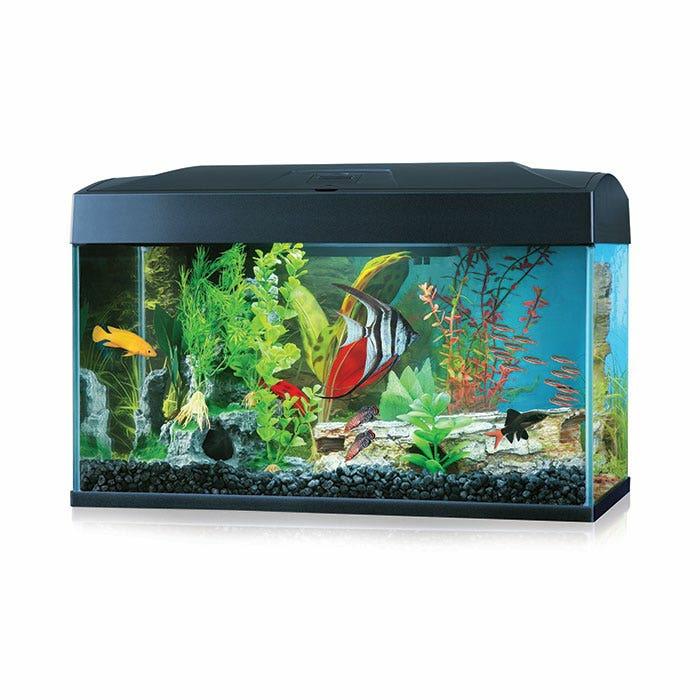 Classic Aquarium 50L Fish