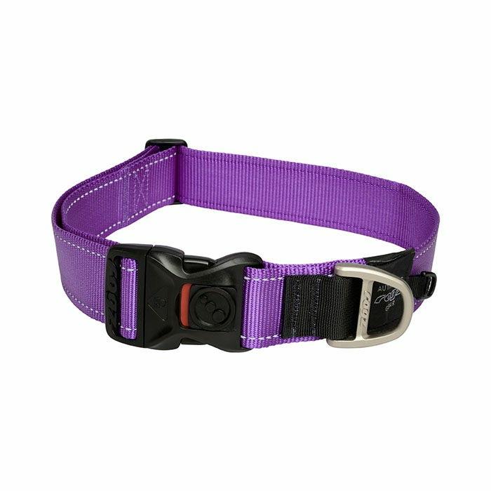 Classic Dog Collar Purple Dog