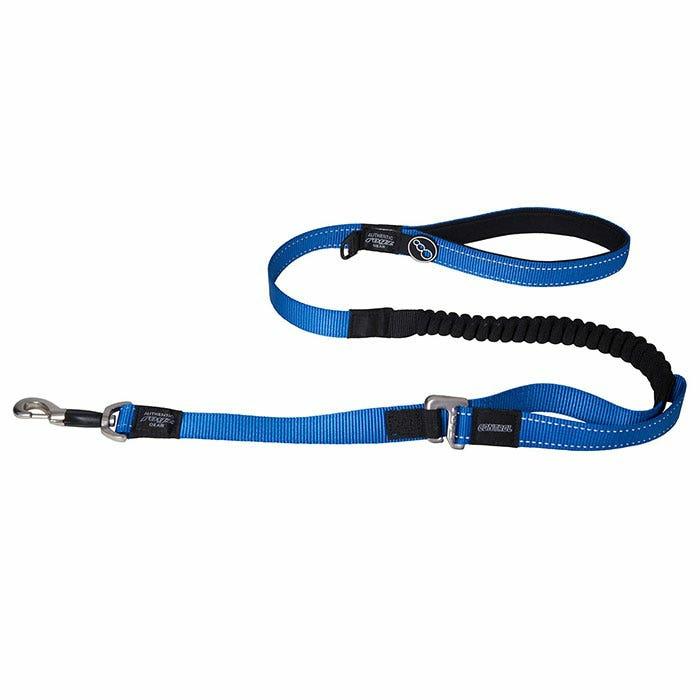 Control Long Lead Blue Xl Dog