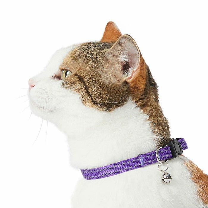 Core Reflective Breakway Cat Collar Purple 20-30Cm Cat