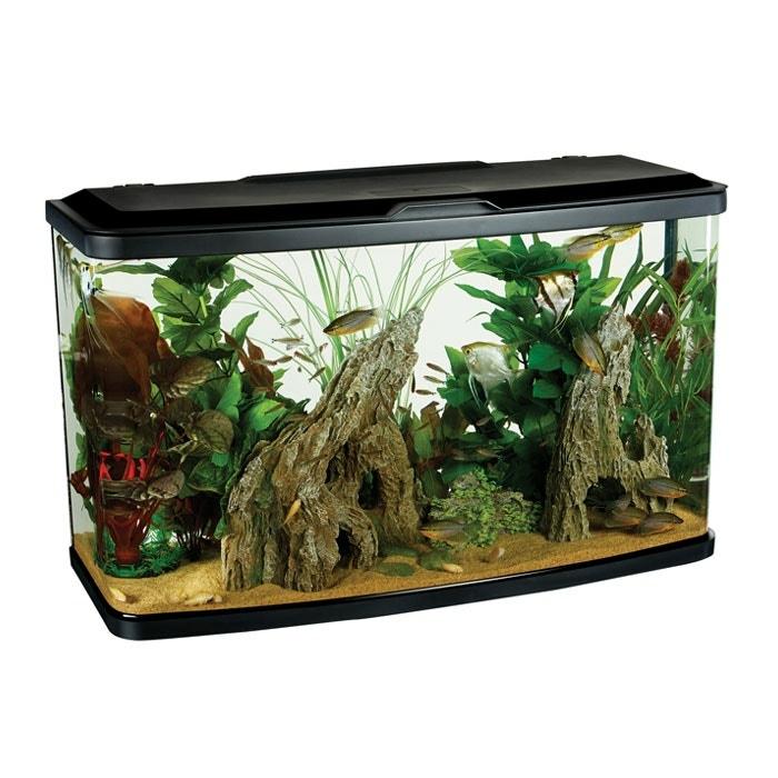 Curve Aquarium 87L Fish