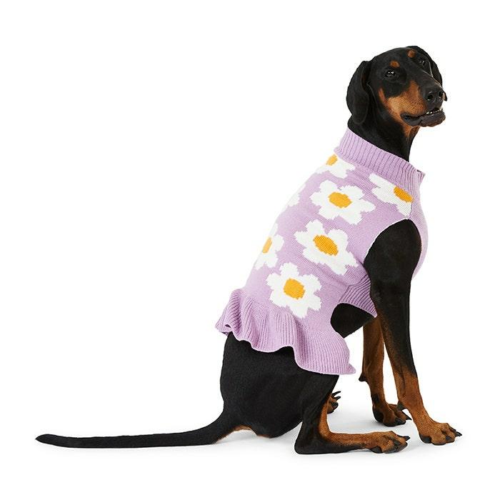 Daisy Flower Print Dog Knit Dress Purple Dog