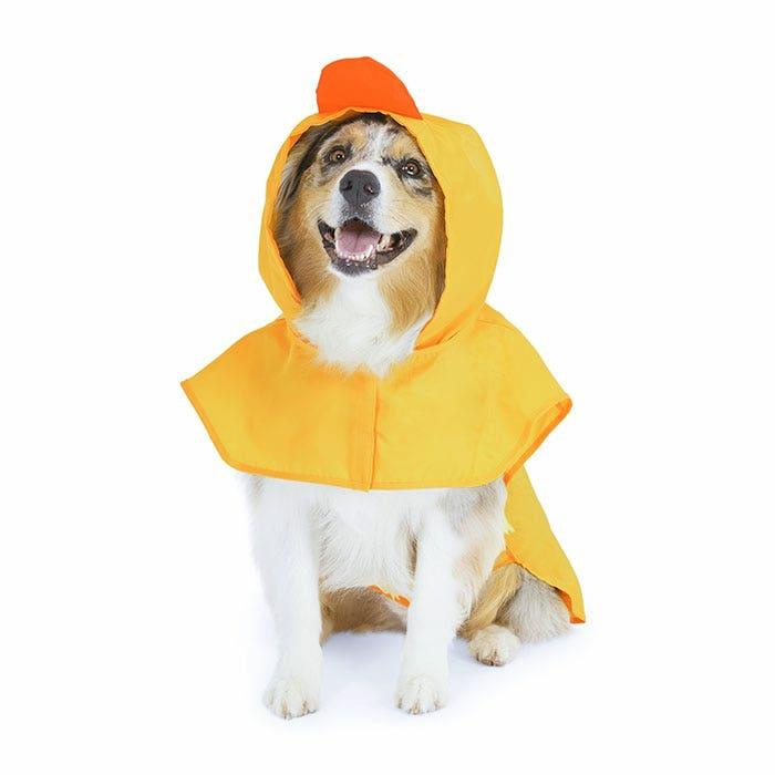 Duck Hood Dog Raincoat Yellow Dog