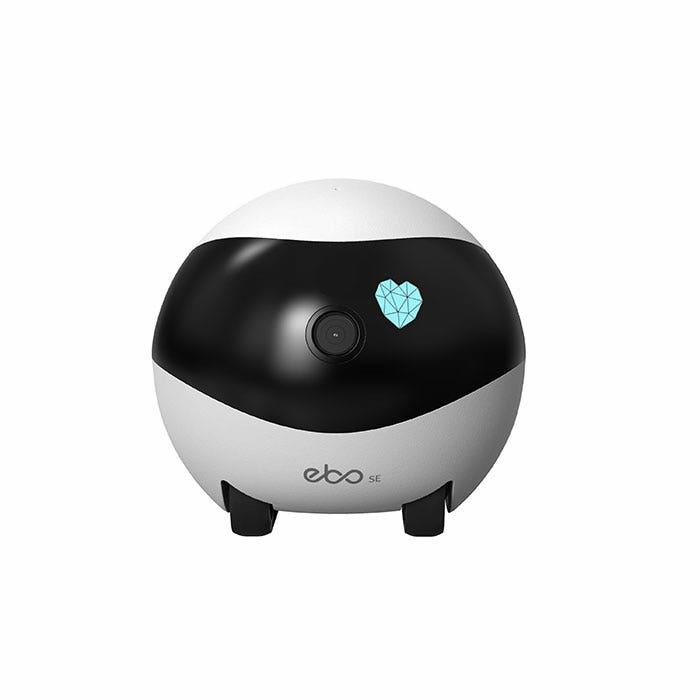 Ebo Se Smart Cat Companion Cat