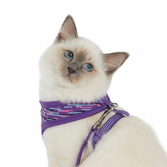 Flex Vest Cat Harness & Lead Set Purple S Cat