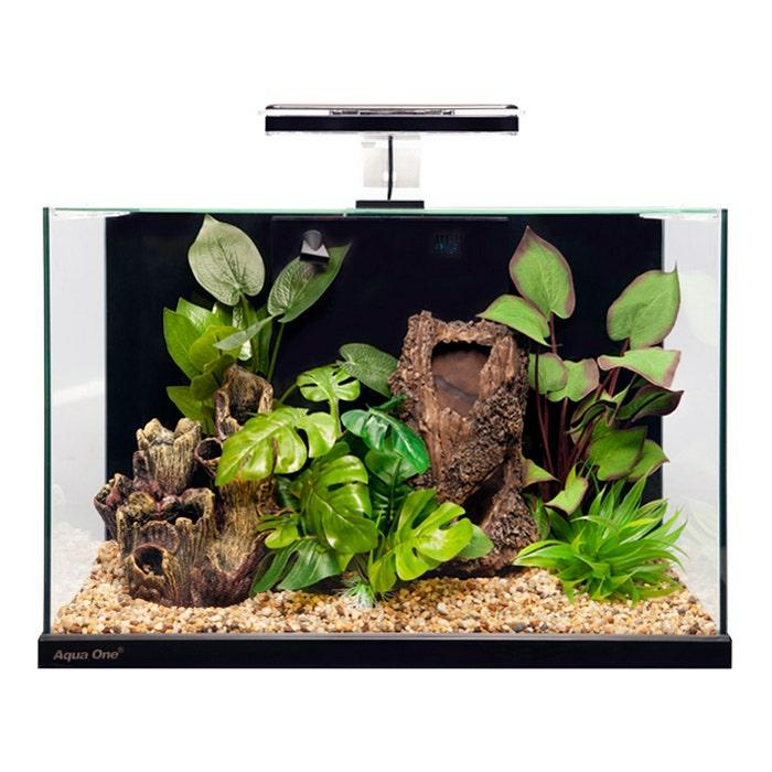 Focus Aquarium Black 36L Fish