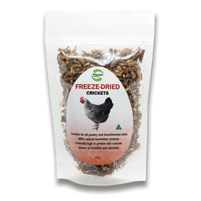 Freeze-Dried Cricket Poultry Treat 45G Chicken