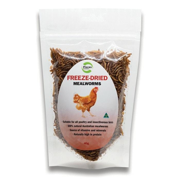 Freeze-Dried Mealworm Poultry Treat 40G Chicken