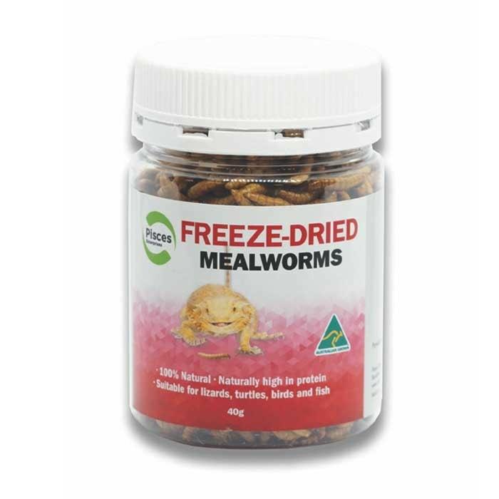 Freeze Dried Mealworms 40G Dry Reptile Food