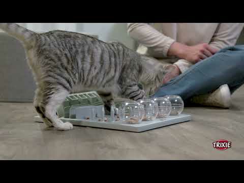 Fun Board Strategy Game Activity Cat Feeder Cat