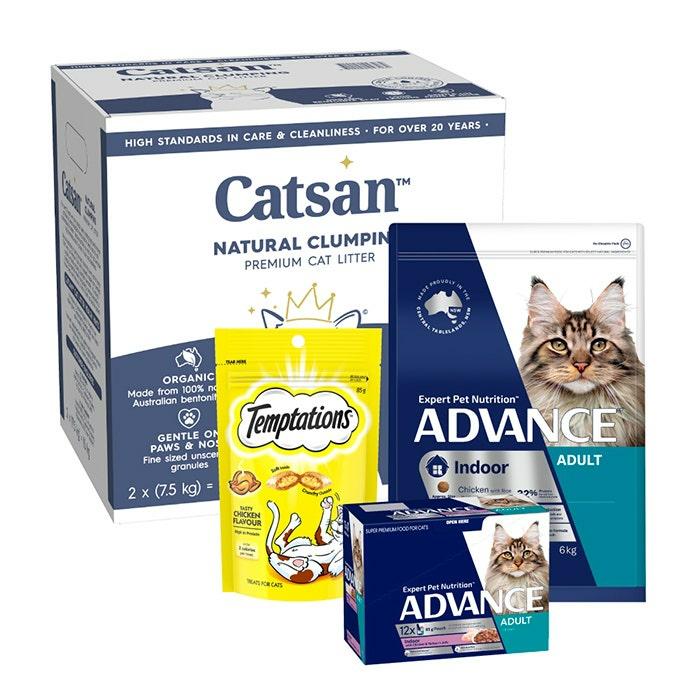 Indoor Adult Cat Bundle Cat