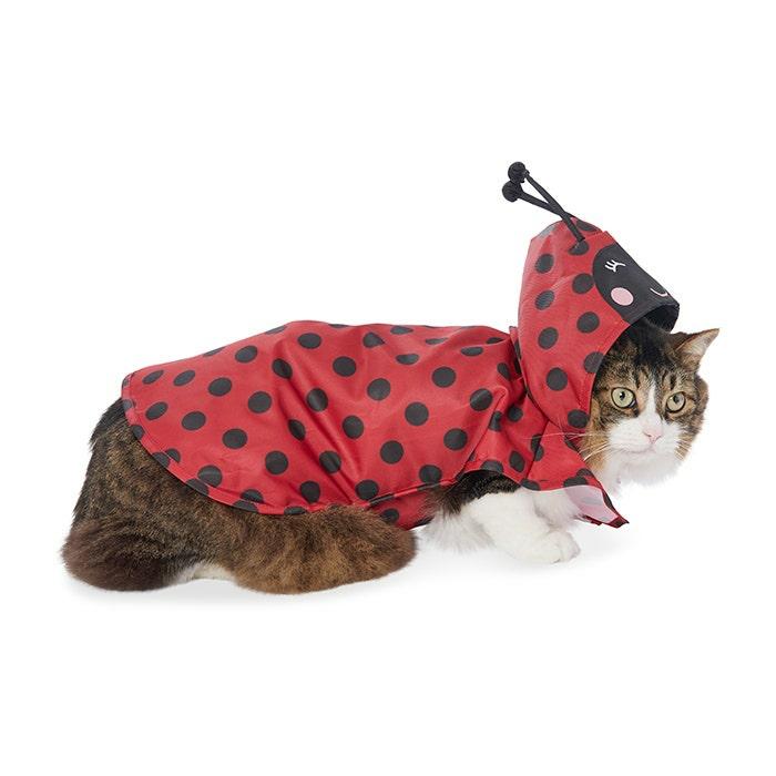 Ladybug Hood Dog Raincoat Red Xxs Dog