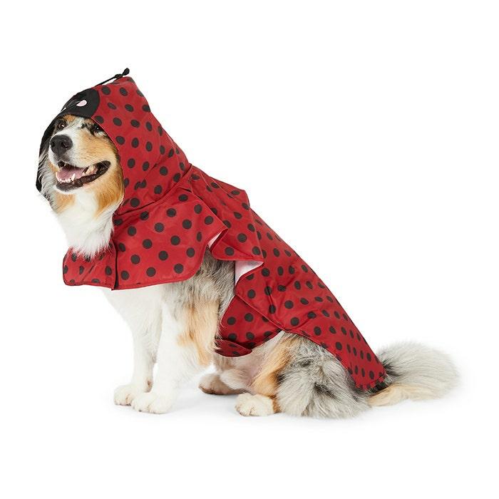 Ladybug Hood Dog Raincoat Red Dog