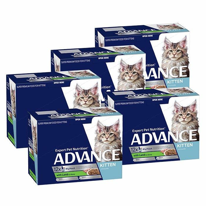 Lamb In Gravy Kitten Pouches 85G X 60 Cat