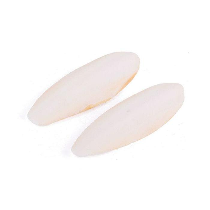 Natural Bird Cuttlebone Natural S Bird