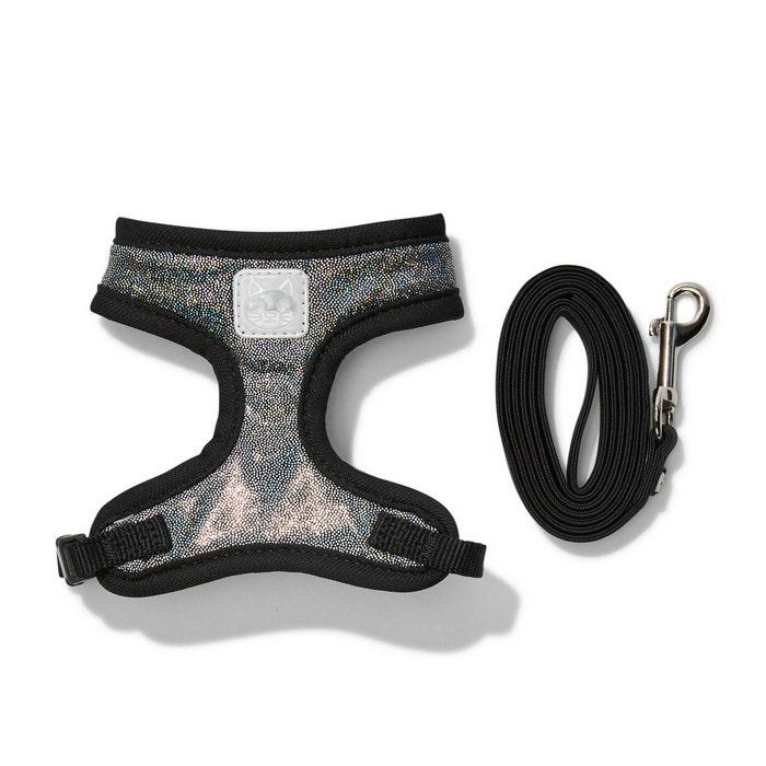 Nights Out Kitten Harness & Lead Set Black Cat