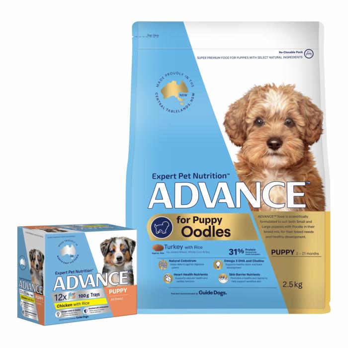 Oodles Bundle | Puppy Food 2.5Kg & Chicken & Rice Wet Puppy Food 100G X 12 Dog