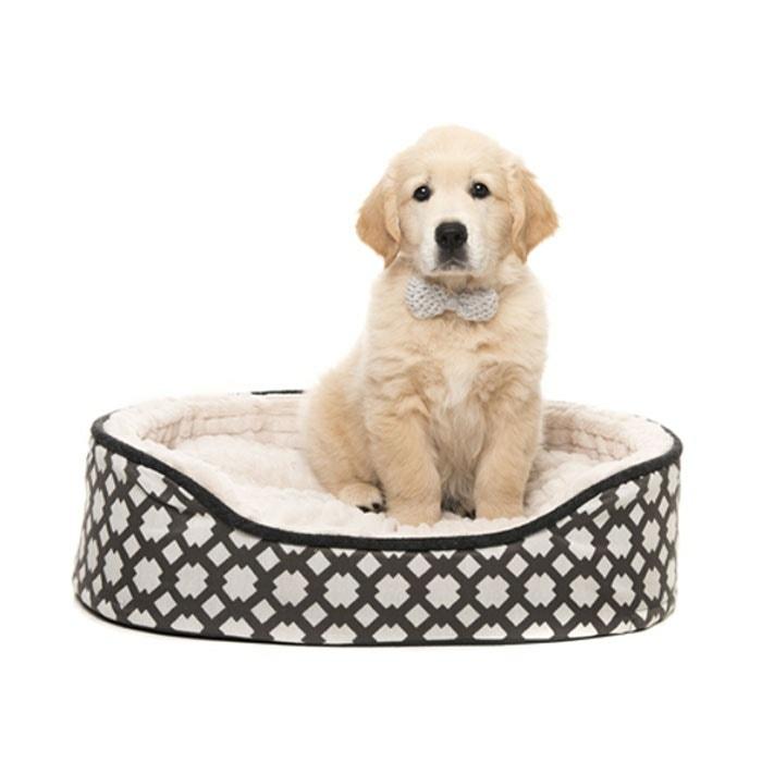 Orthopaedic Oval Dog Basket Cream Grey Small 61X46Cm Cat