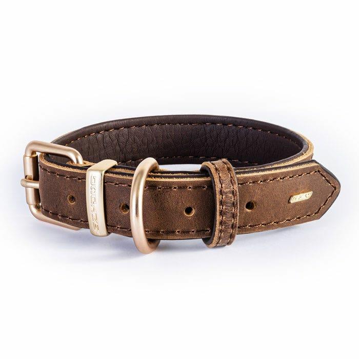 Oxford Leather Dog Collar Brown Dog