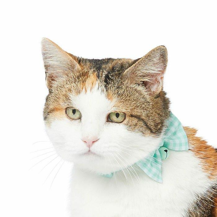 Picnic Time Breakaway Cat Collar W/Bow Mint 20-30Cm Cat