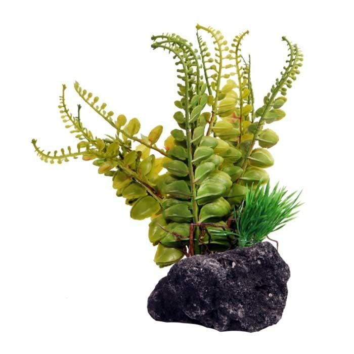 Pumice Base Fern Reptile Fern 14X10X17Cm Other Pets