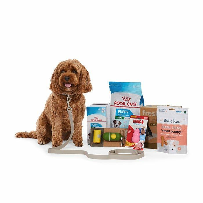 Eatwell Pet Feeder 5 Meal Dog