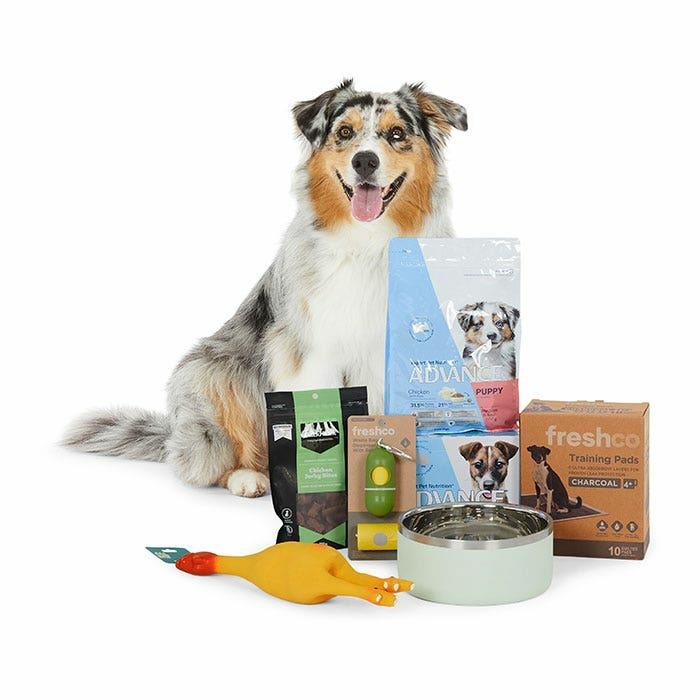 Puppy Essentials Bundle – Premium Medium Breed Dog