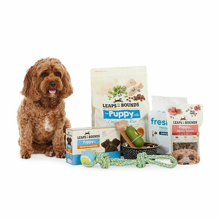 Puppy Essentials Bundle – Value Dog