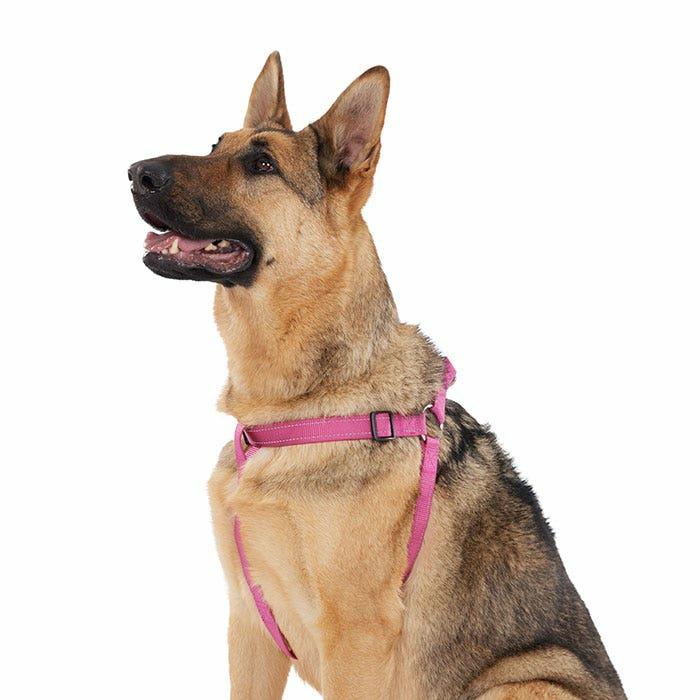 Reflective Dog Harness Pink Dog