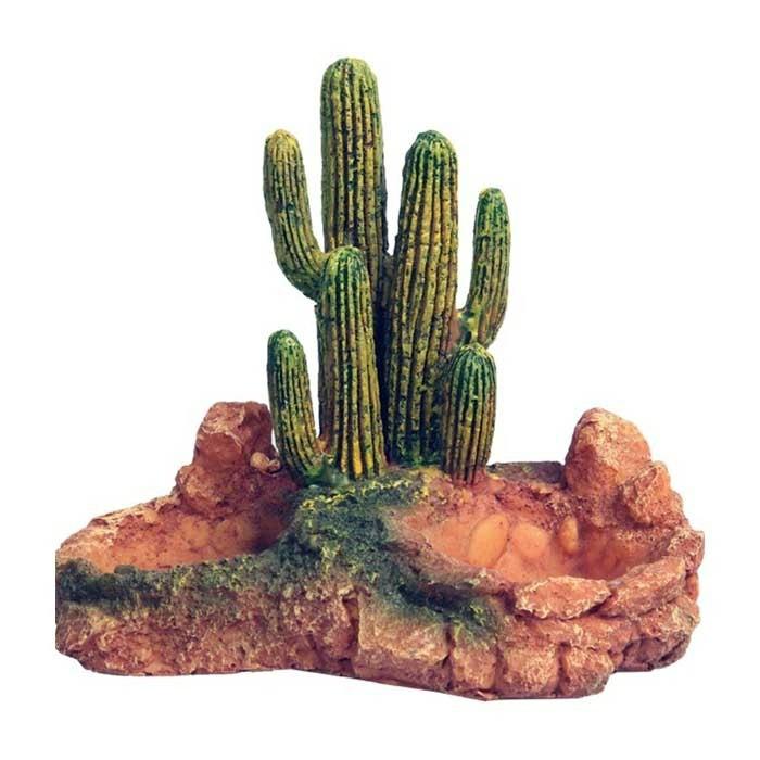 Resin Base Cactus Reptile Garden Sm 12X12X14Cm Other Pets