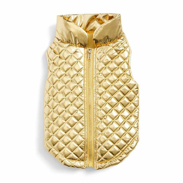 Shiny Quilted Dog Bomber Jacket Gold Dog