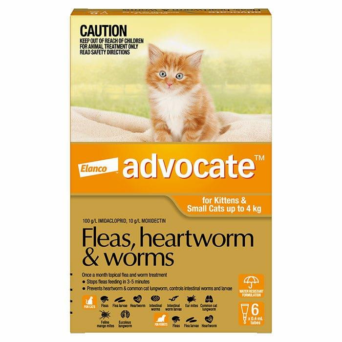 Small Cat Flea Heartworm & Worm Pipette Orange 6Pk X 2 Cat