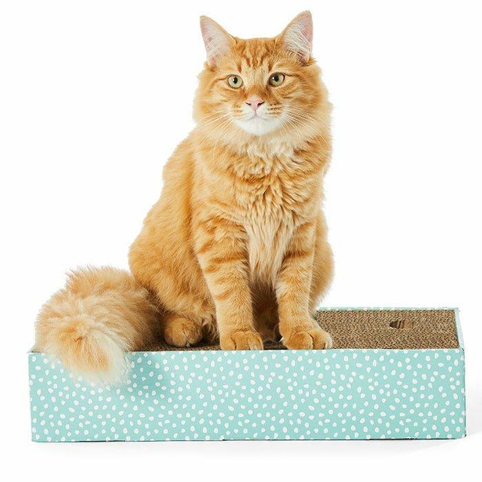 Speckle Hide & Seek Rec Cardboard Cat Scratch Mint Cat