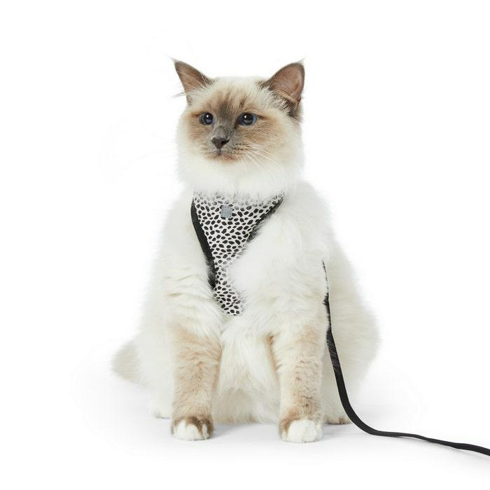 Spot It Cat Harness & Lead Set Monochrome Cat