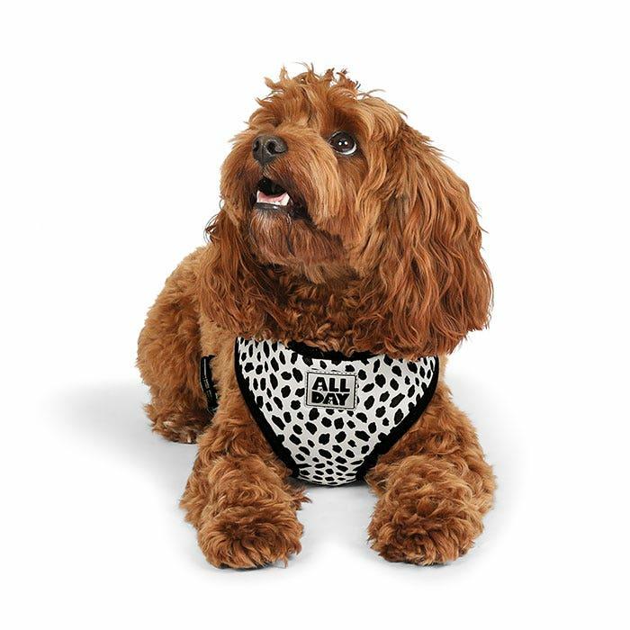 Stop Pull Dog Harness Blue Dog