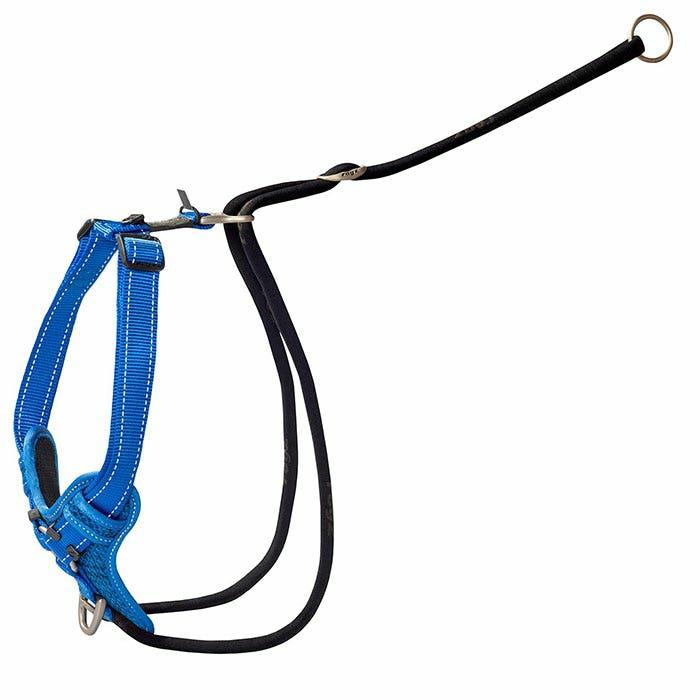 Stop Pull Dog Harness Blue Dog