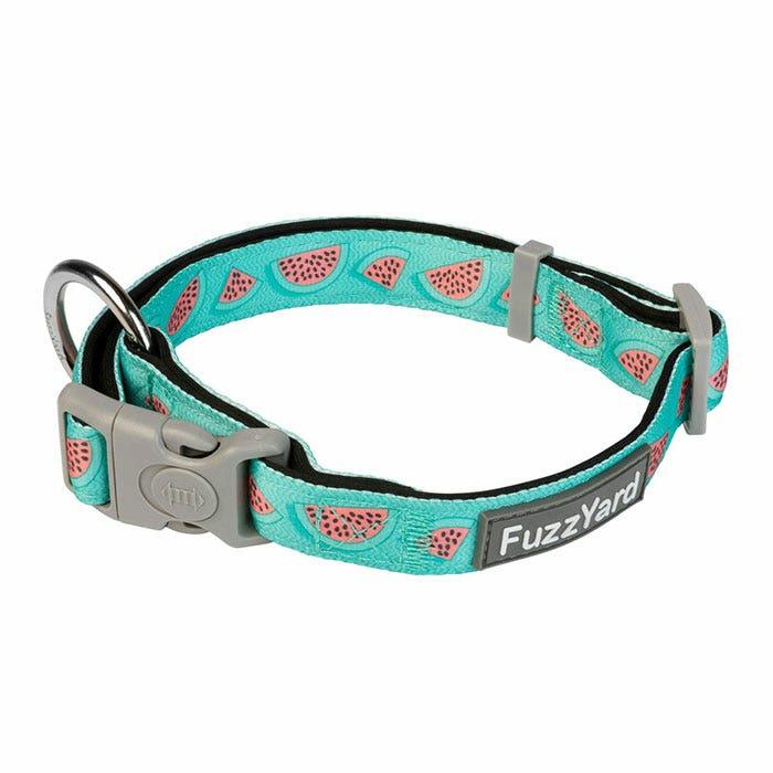 Summer Punch Dog Collar Mint Dog