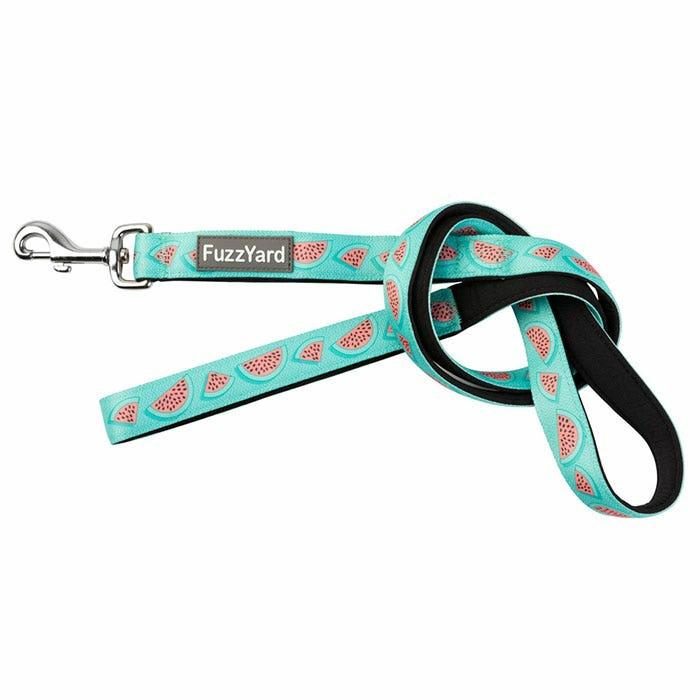 Summer Punch Dog Lead Mint Dog