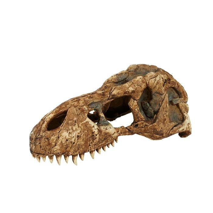 T Rex Skull Reptile Ornament Other Pets